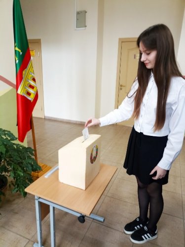 Выборы Молодежного парламента